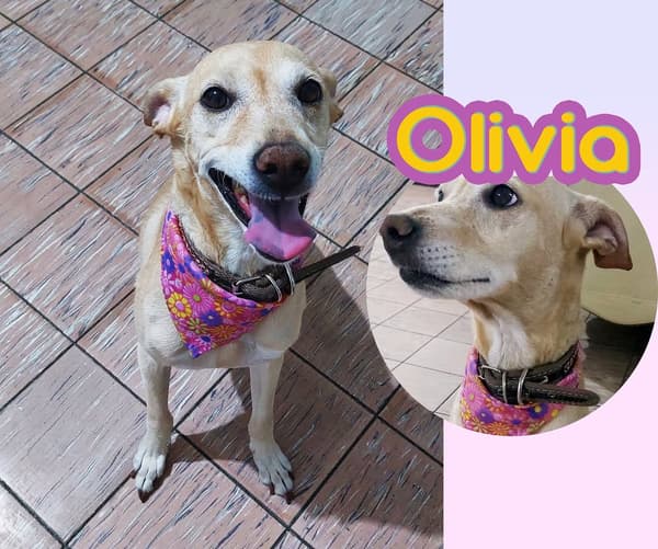 Olivia