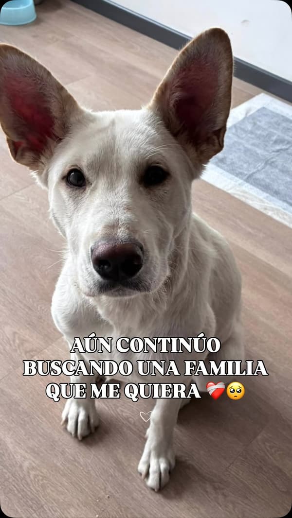 Sin nombre