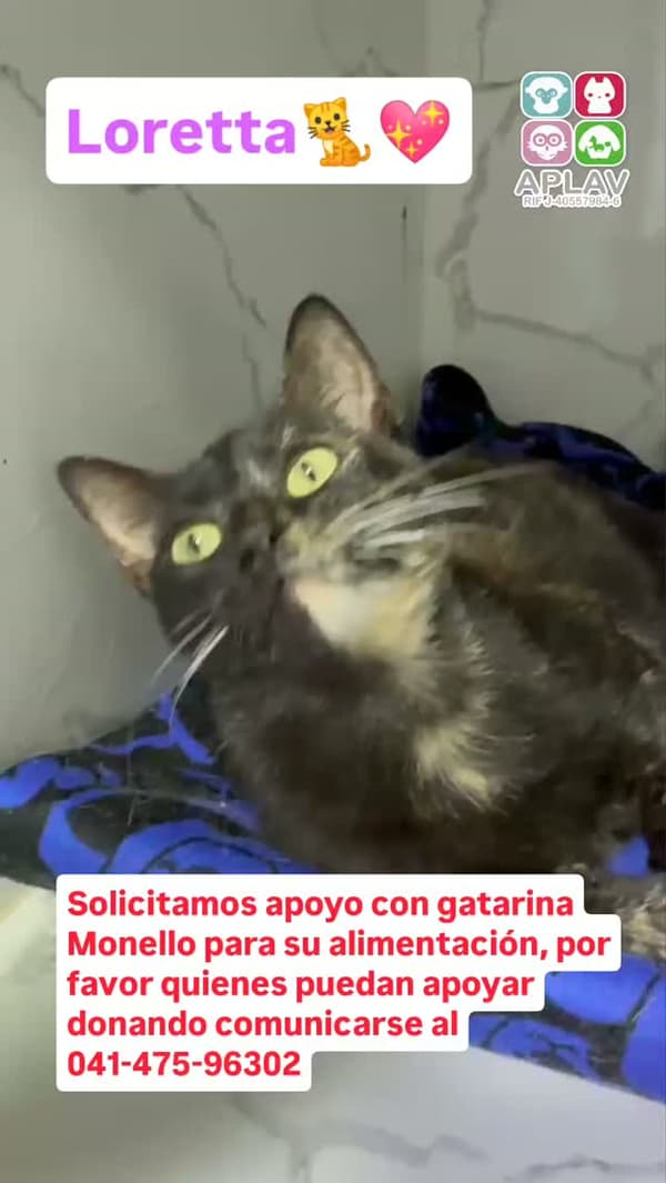 Loreta