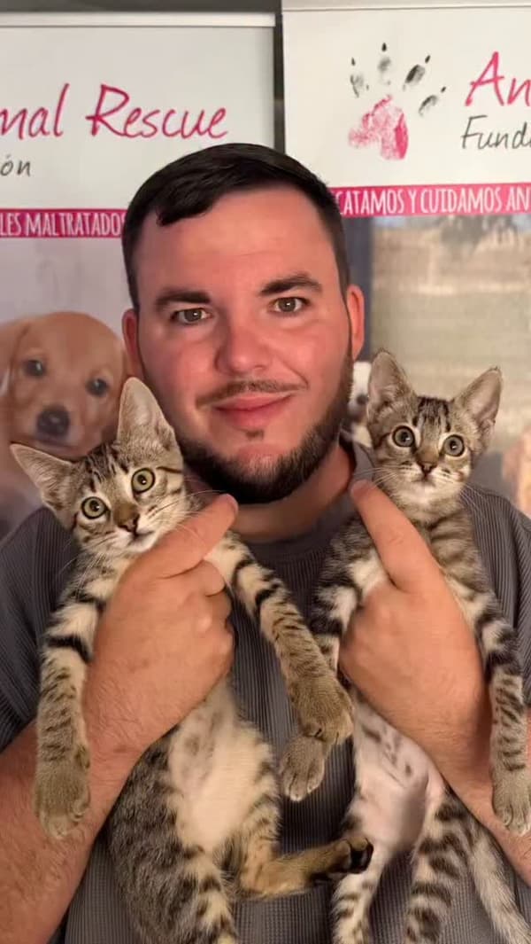 2 animalitos