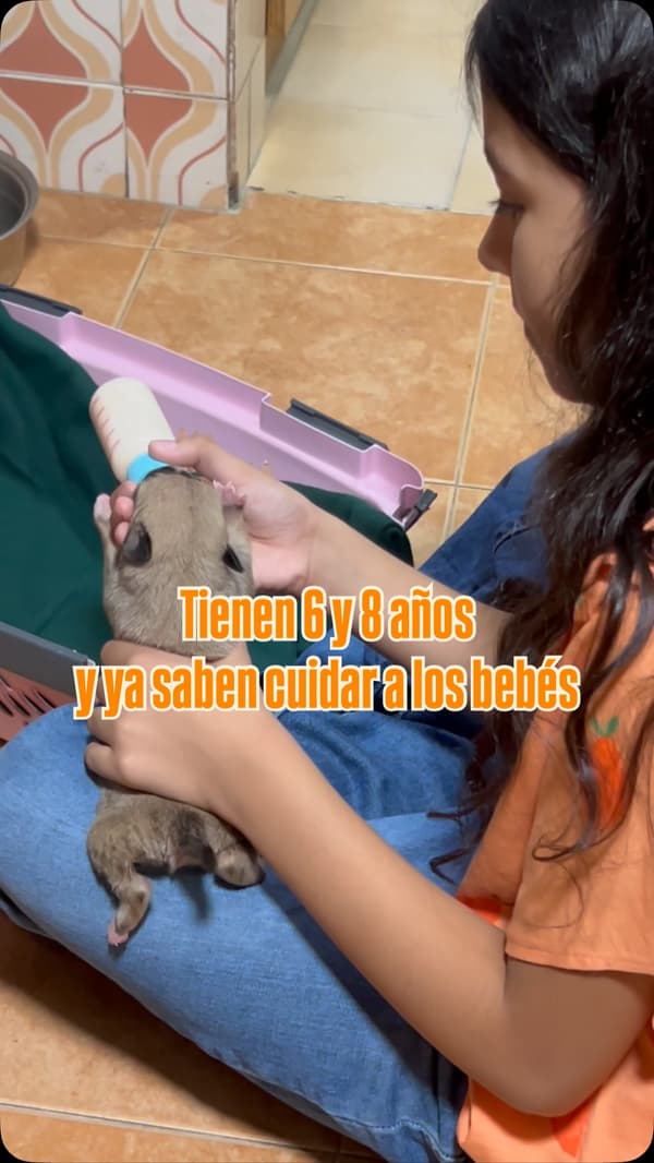 Sin nombre