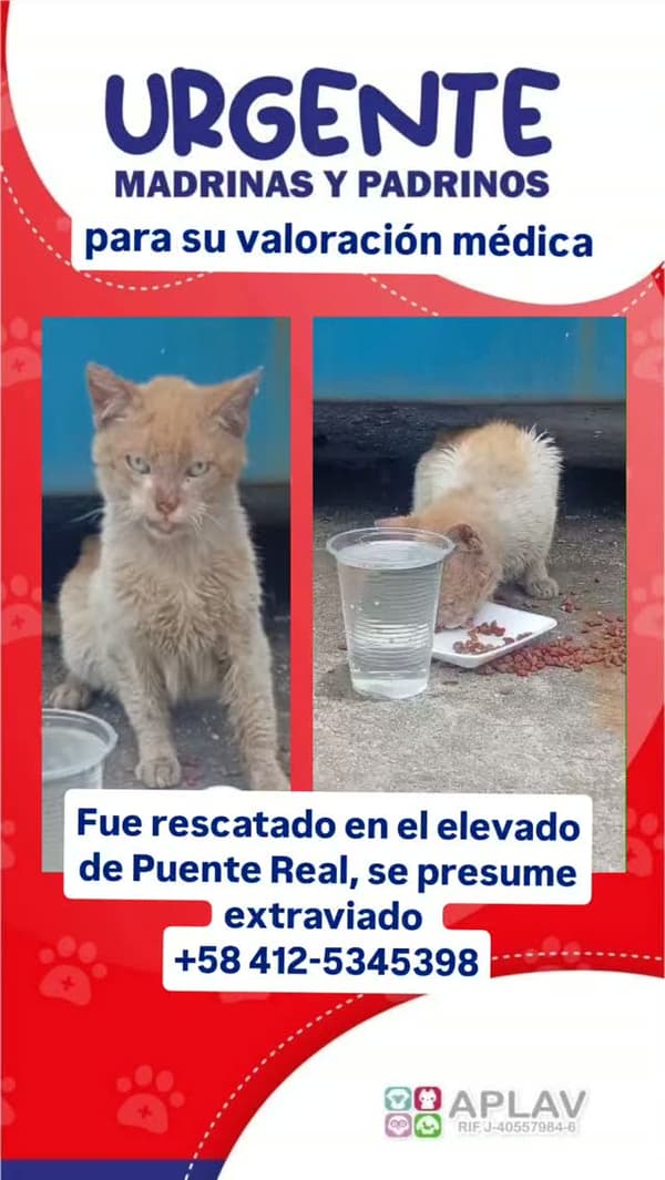 Sin nombre