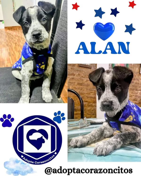 Alan