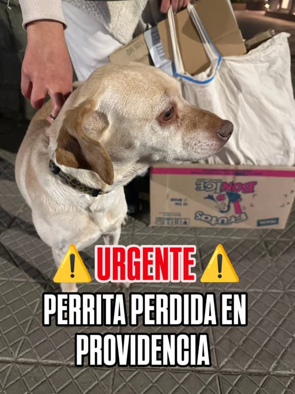Sin nombre