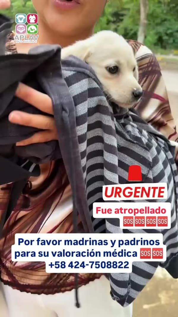 Sin nombre