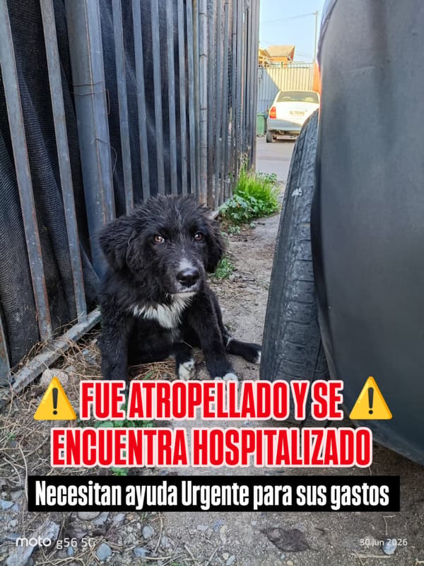 Sin nombre