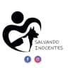 Salvando inocentes