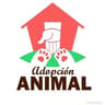 Adopción Animal Guayaquil 🐾