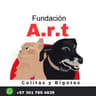 Adopciones de Colitas y Bigotes