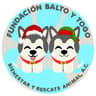 Fundación Balto y Togo 🐱🐶🐾❤️