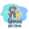 Adopción Pelos y Amor
