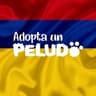 AdoptaUnPeludo